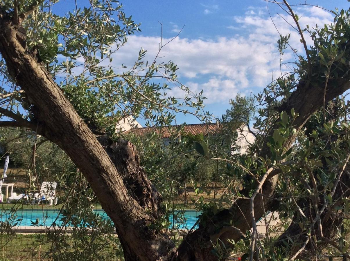 Tenuta Don Ballore Galtellì Exterior foto